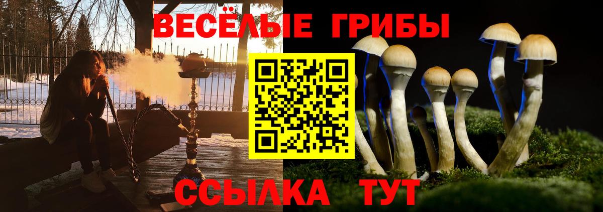 Галлюциногенные грибы Magic Shrooms  Вход с VPN  Галлюциногенные грибы прущие грибы  Нефтеюганск 